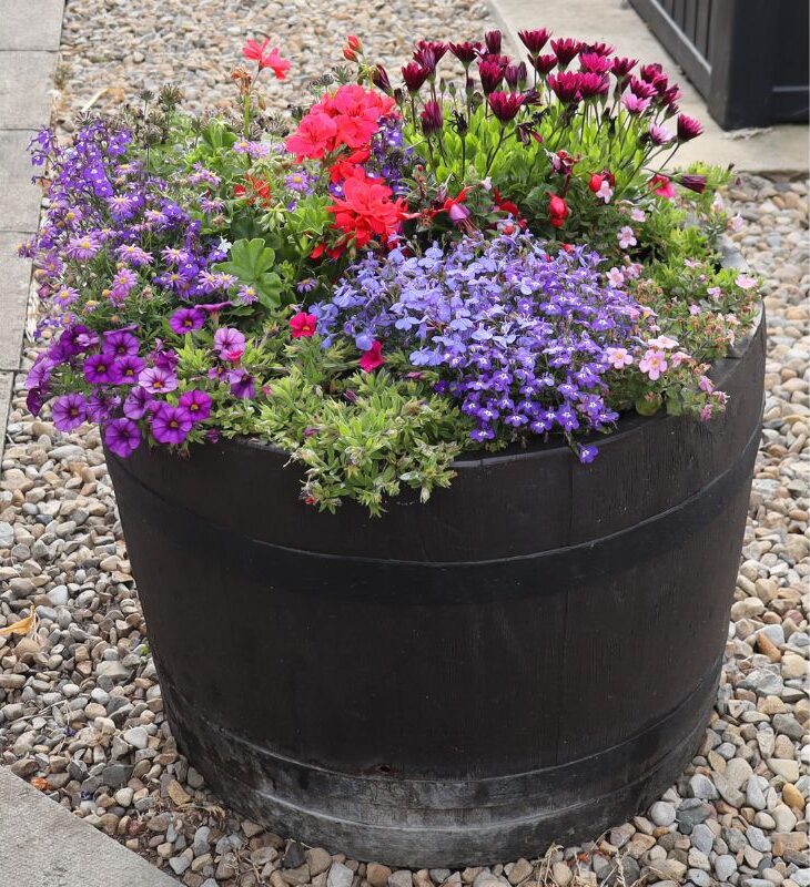 FI Flowers